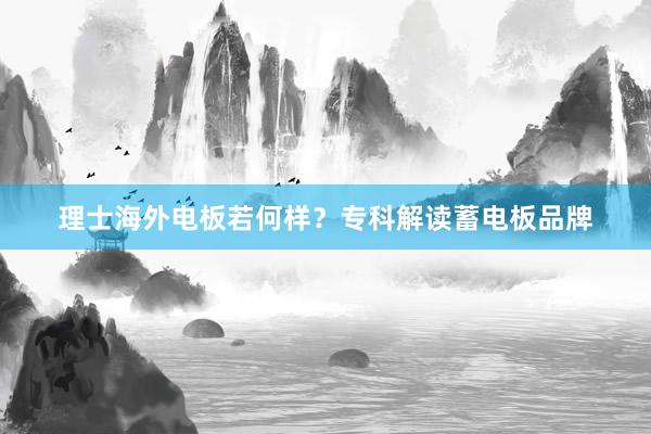 理士海外电板若何样？专科解读蓄电板品牌